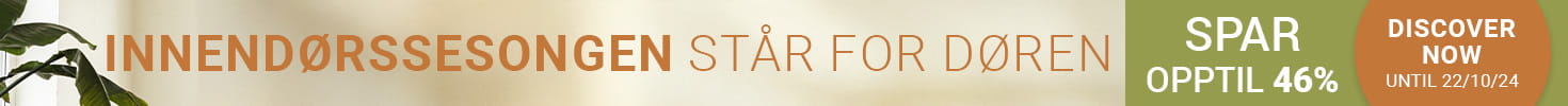 promo-banner